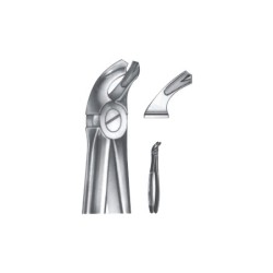 Tooth Extracting Forceps